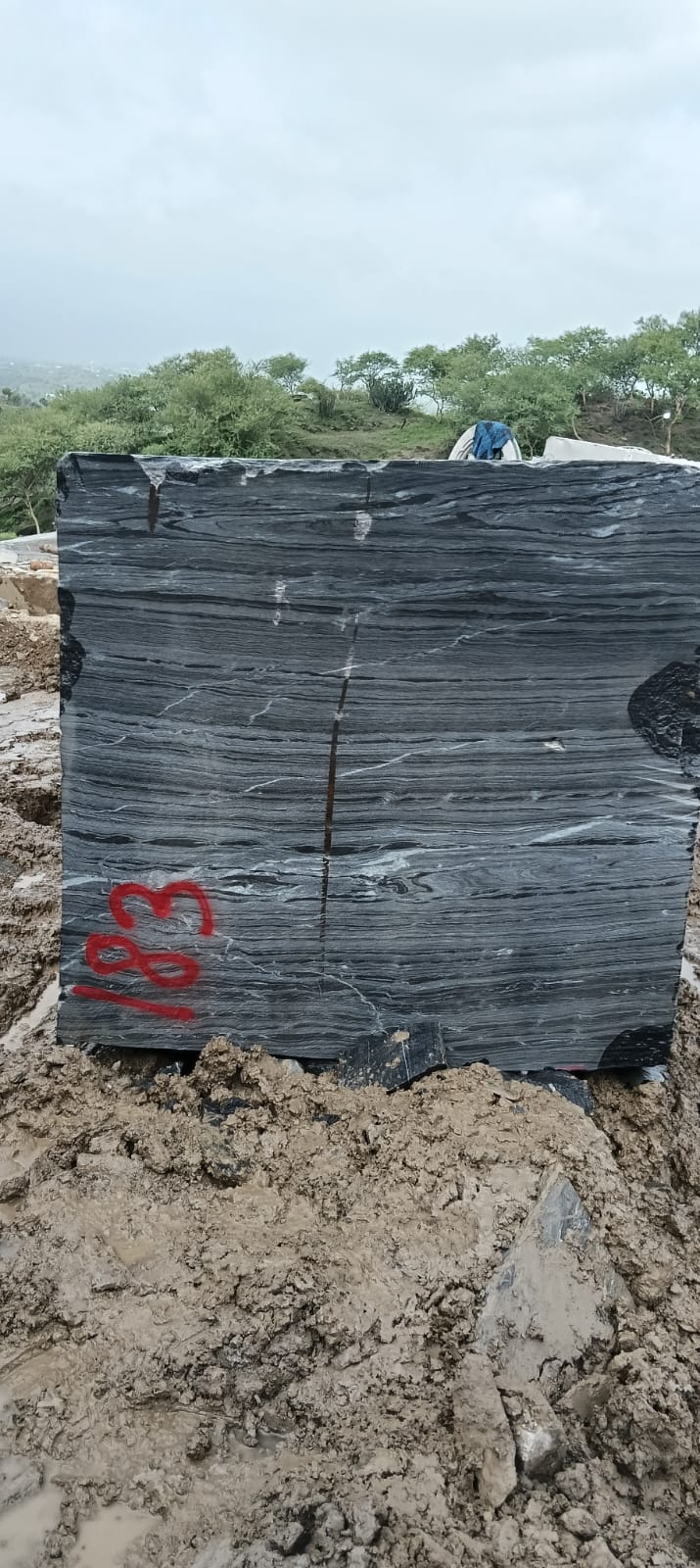 Block 183