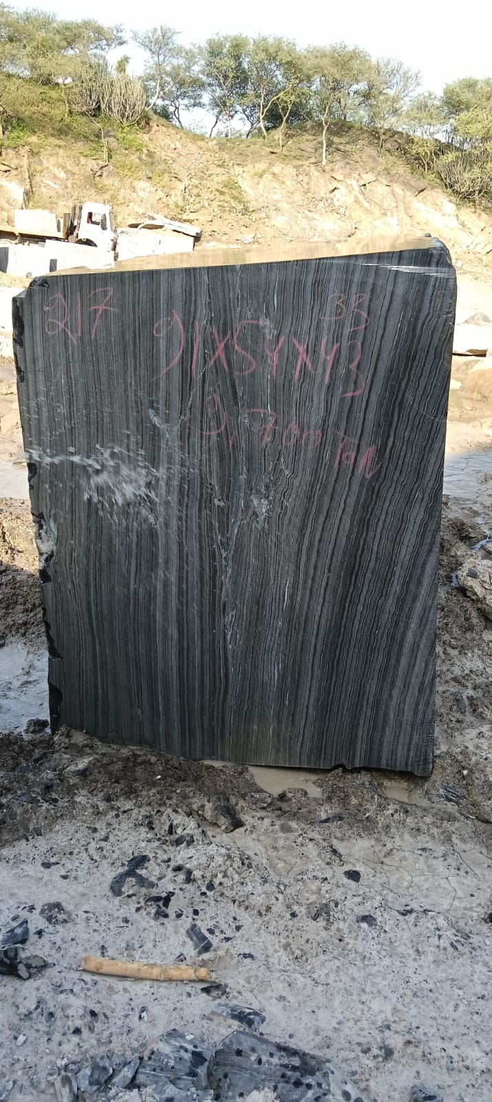 Block 217